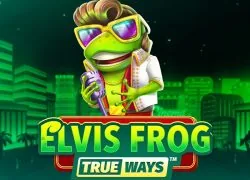 Gaming machine elvis frog
